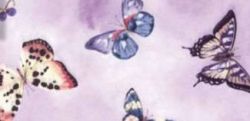 Orthesen Farbmuster Butterfly Pink